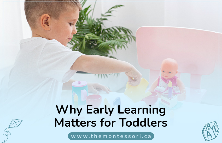 Why Early Learning Matters for Toddlers