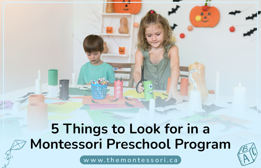 5 Things to Look for in a Montessori Preschool Program