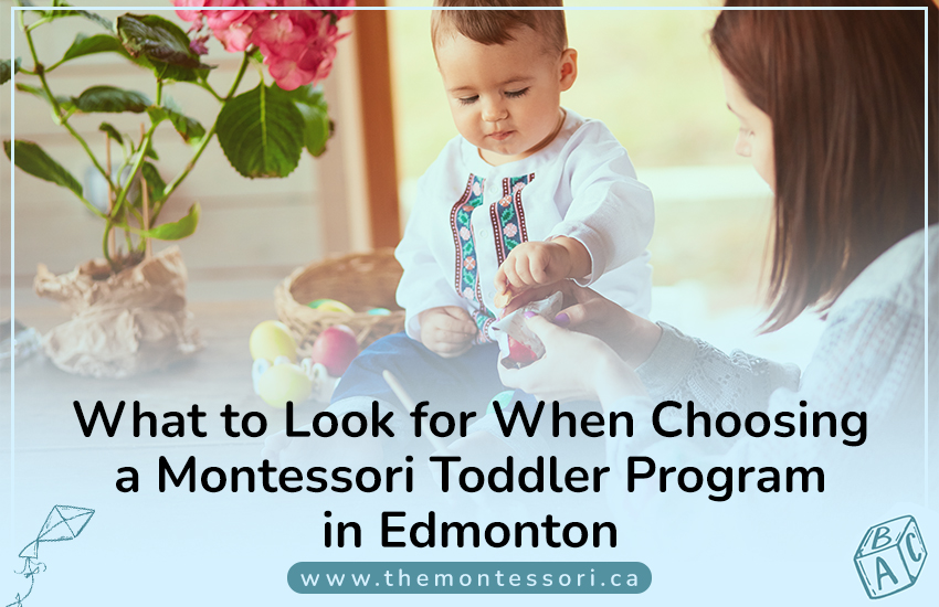 What to Look for When Choosing a Montessori Toddler Program in Edmonton