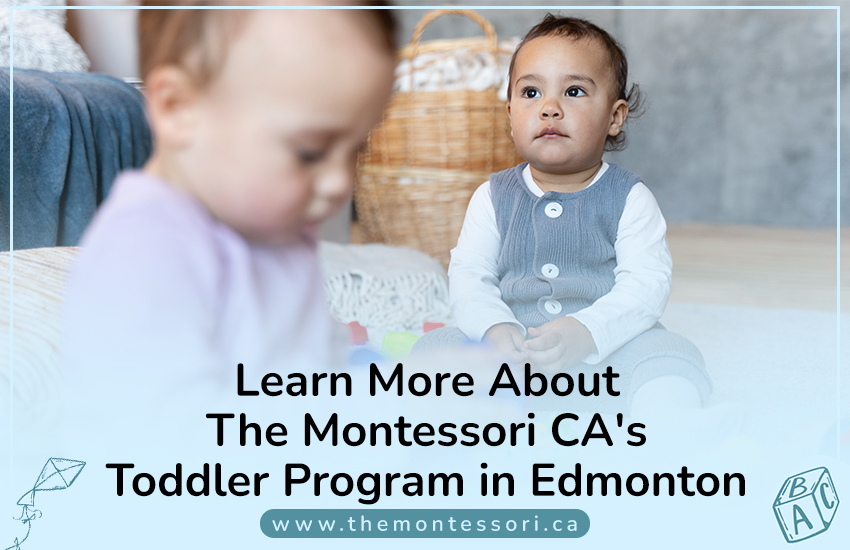 Learn More About The Montessori CA's Toddler Program in Edmonton