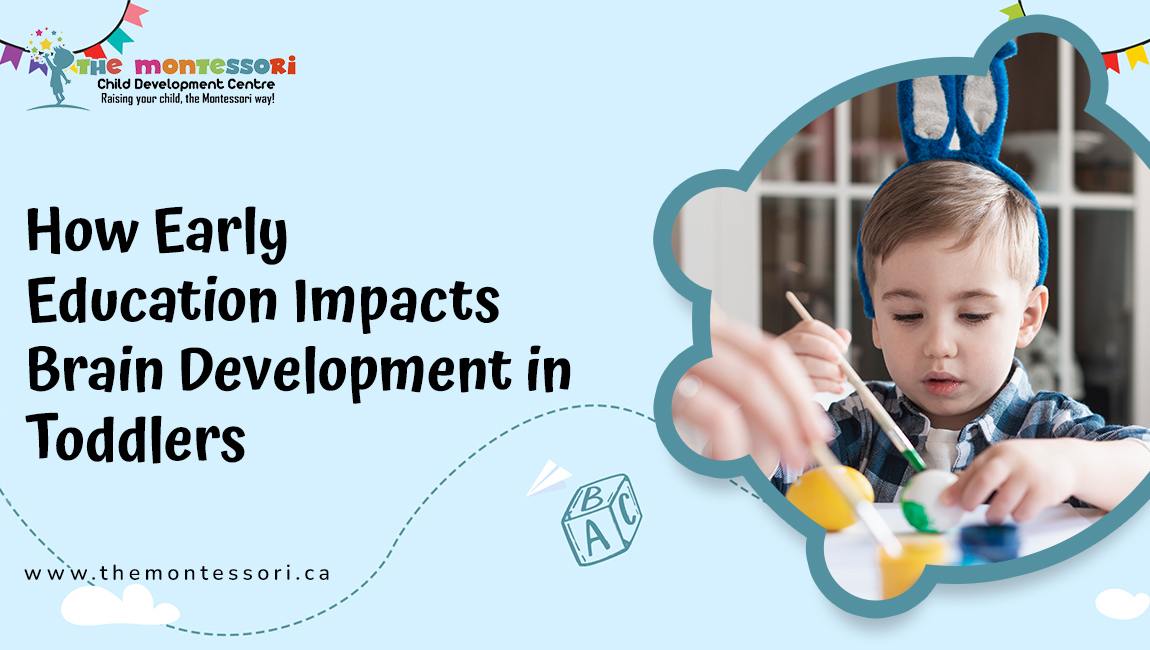 How Early Education Impacts Brain Development in Toddlers