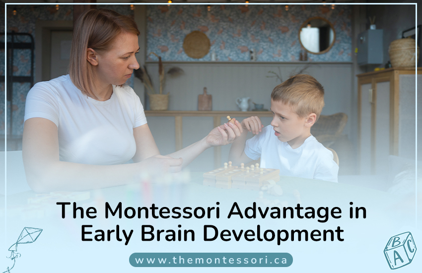 The Montessori Advantage in Early Brain Development