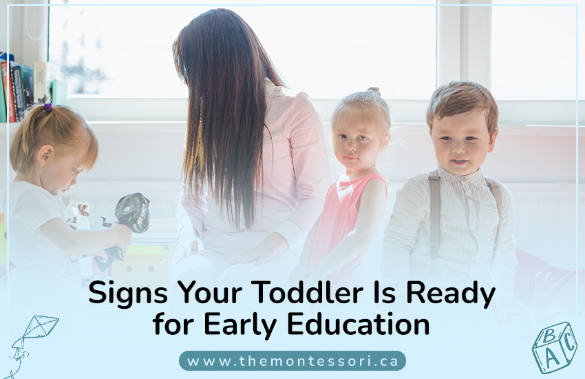 Signs Your Toddler Is Ready for Early Education