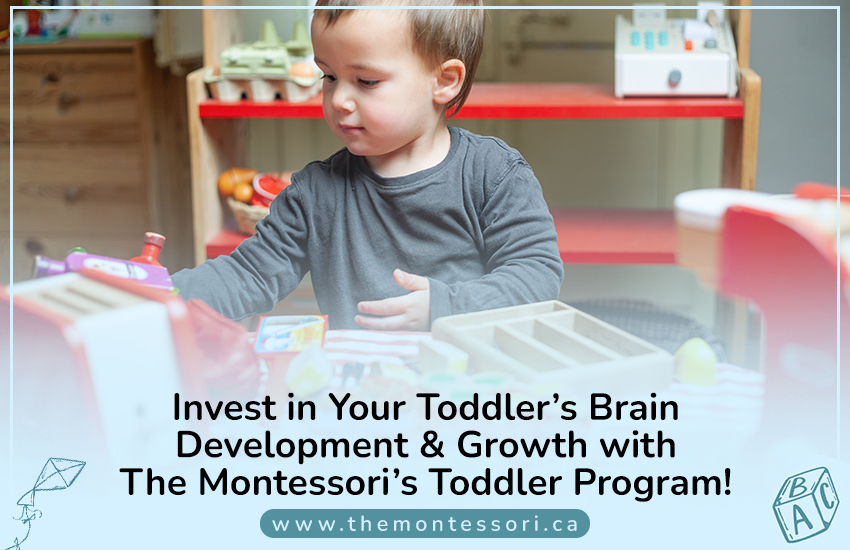 Invest in Your Toddler’s Brain Development & Growth with The Montessori Toddler Program!