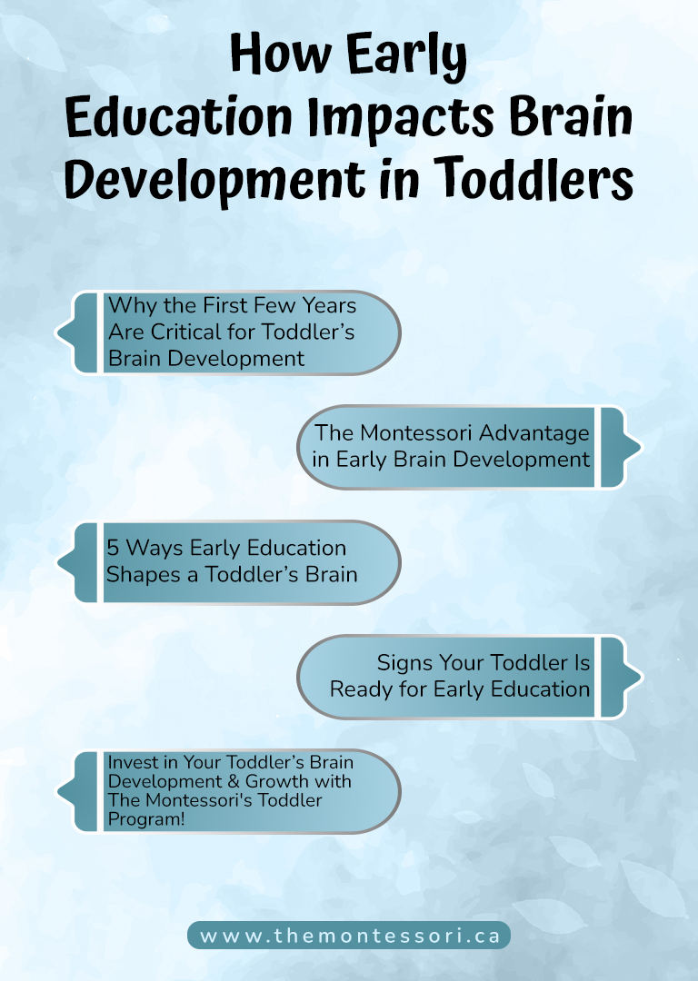 FAQs About How Early Education Impacts Brain Development in Toddlers