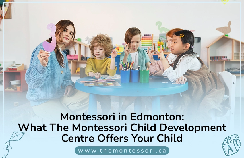 Montessori in Edmonton: What The Montessori Child Development Centre Offers Your Child