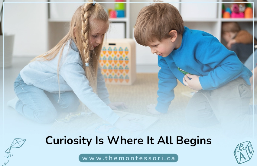 Curiosity Is Where It All Begins
